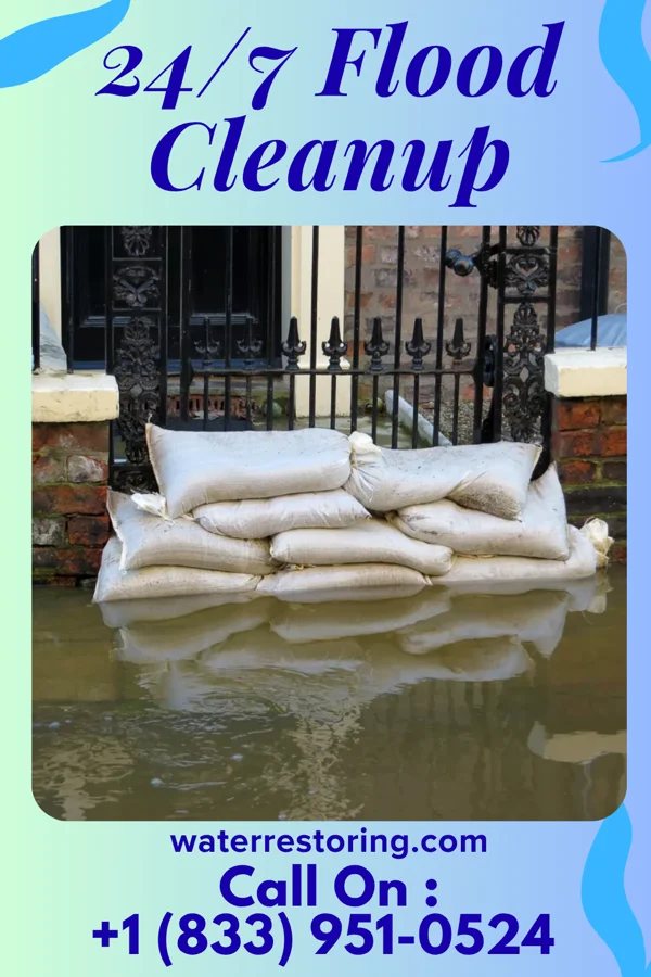24/7 Flood Cleanup in Norway, SC