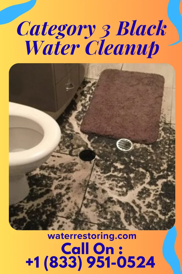 Category 3 Black Water Cleanup in Norway, SC