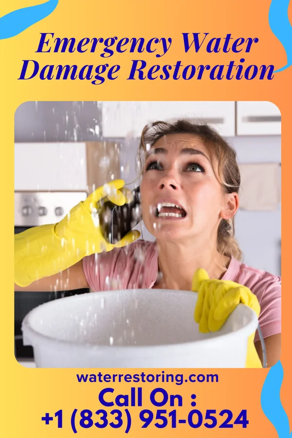 Emergency Water Damage Restoration in Norway, SC